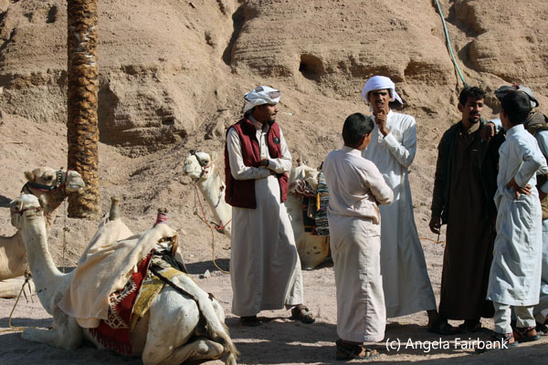 bedouins and camel 2