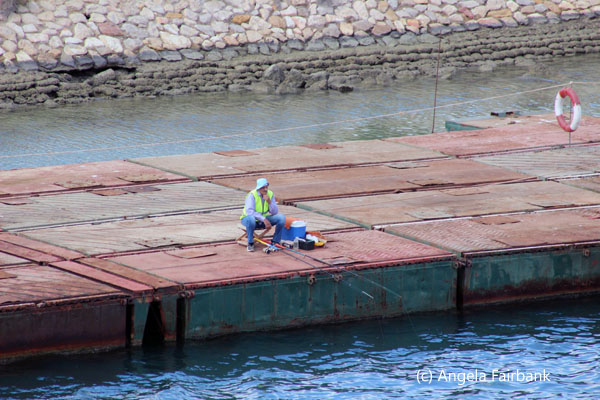 fishing from dock