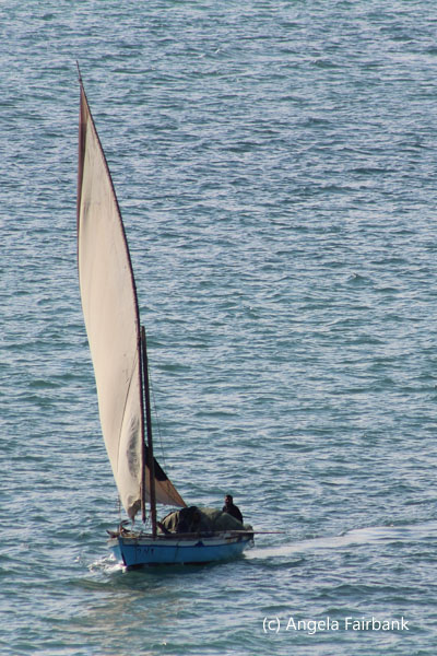 boat with sail 2