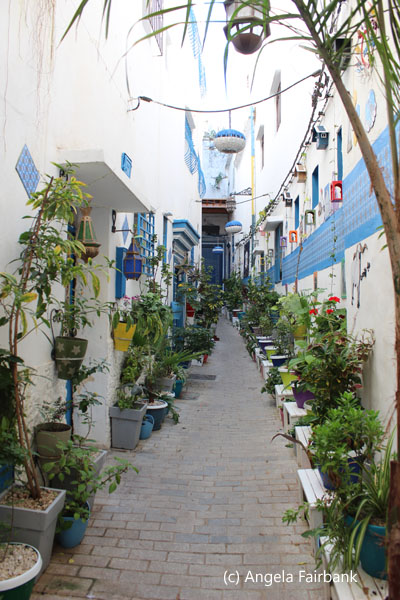 street with plants